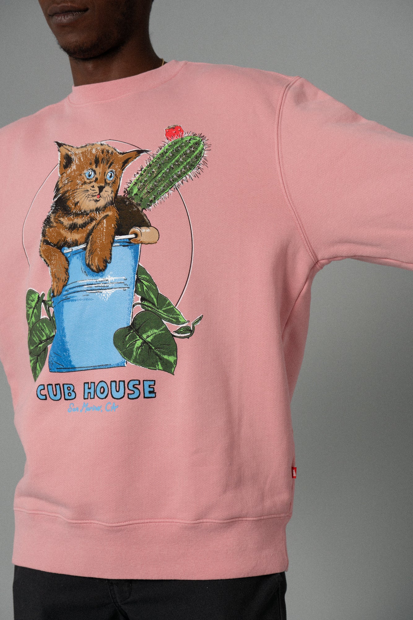 Bucket Cat Crewneck Dusty Pink