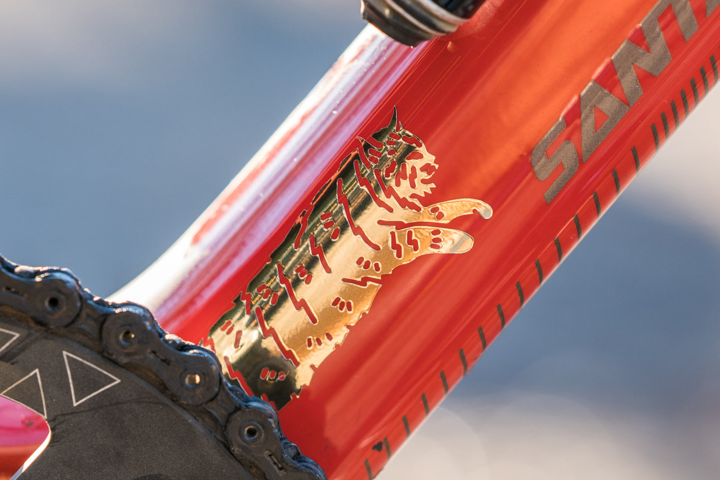 Special Edition Chubby Bobcat Die Cuts