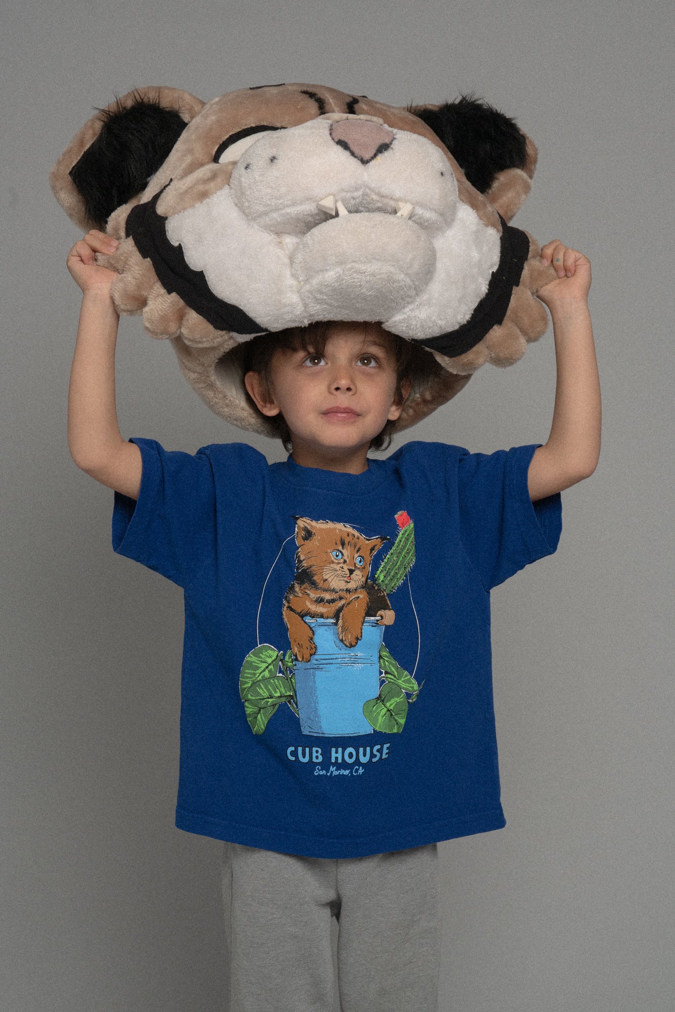 Lil Cubs Bucket Cat Tee Royal