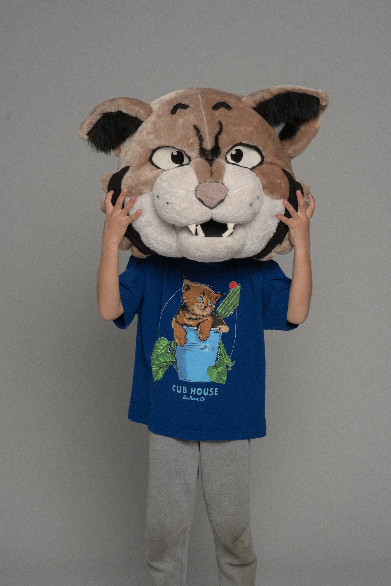 Lil Cubs Bucket Cat Tee Royal