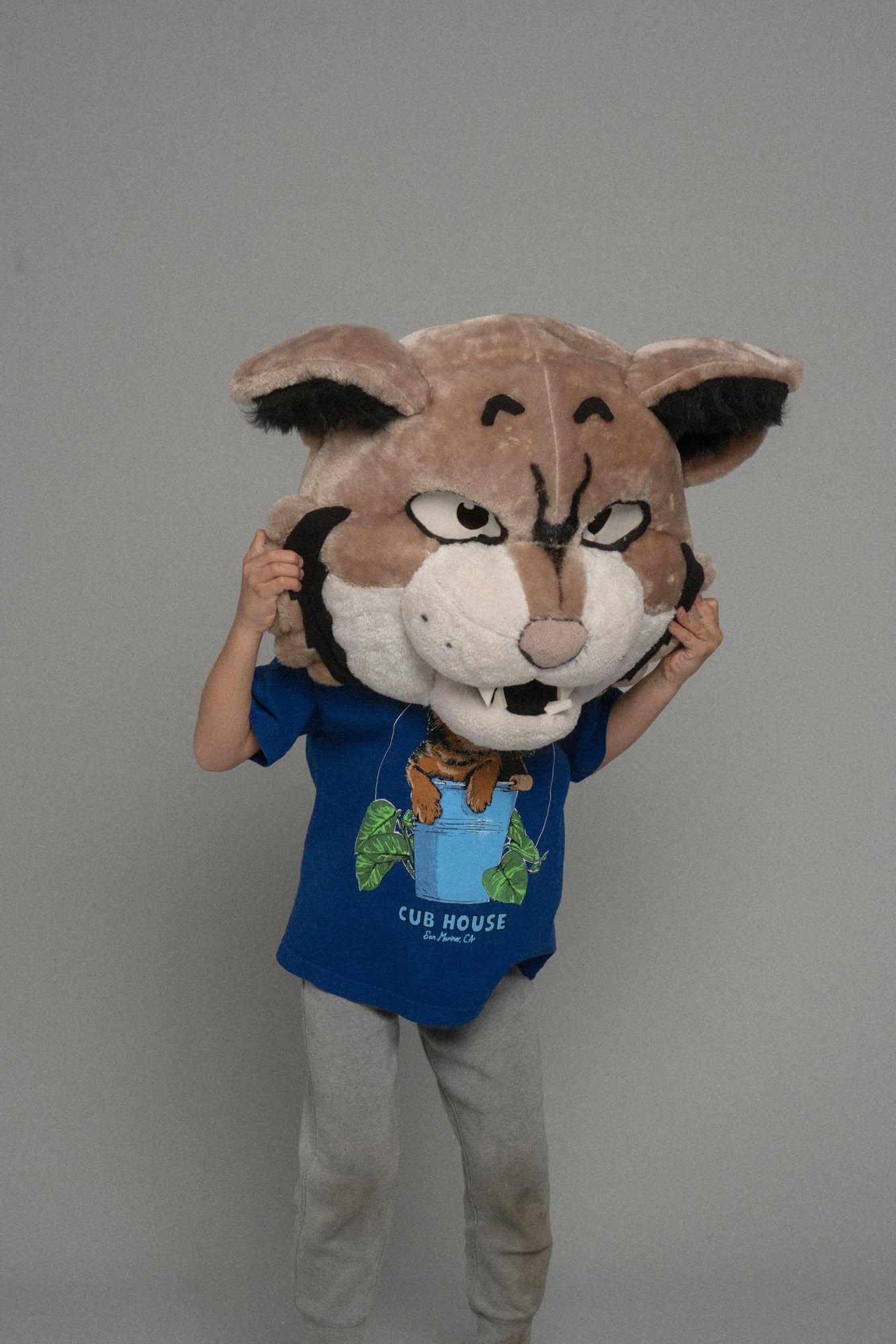 Lil Cubs Bucket Cat Tee Royal