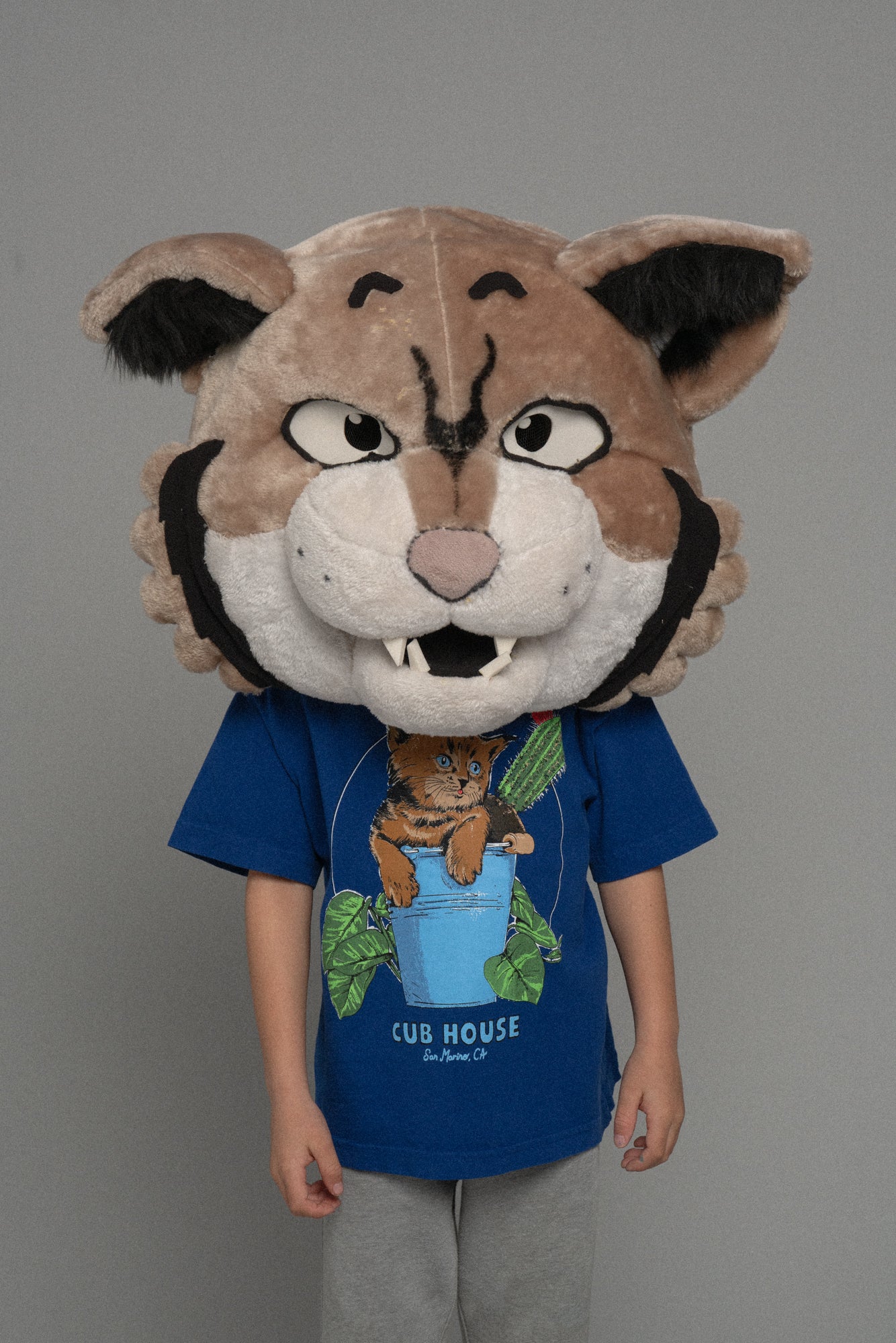 Lil Cubs Bucket Cat Tee Royal