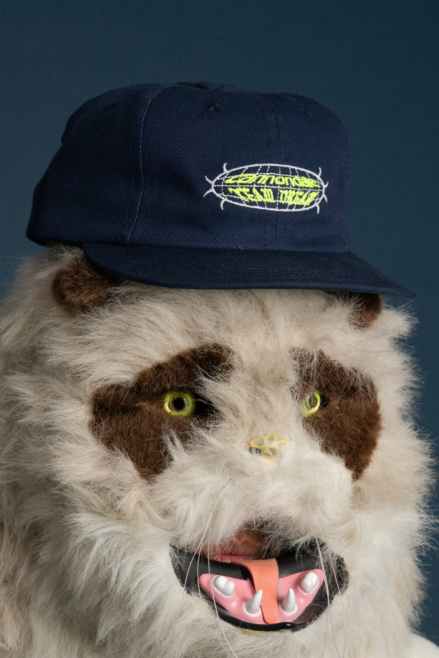 Force Field Snap Back