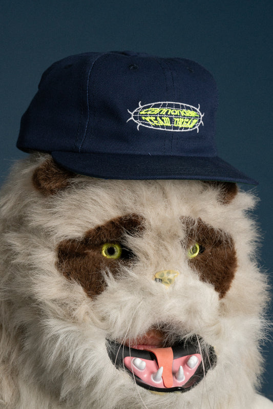 Force Field Snap Back
