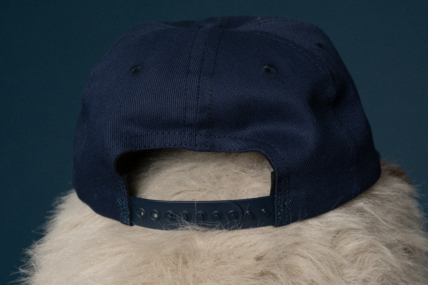 Force Field Snap Back