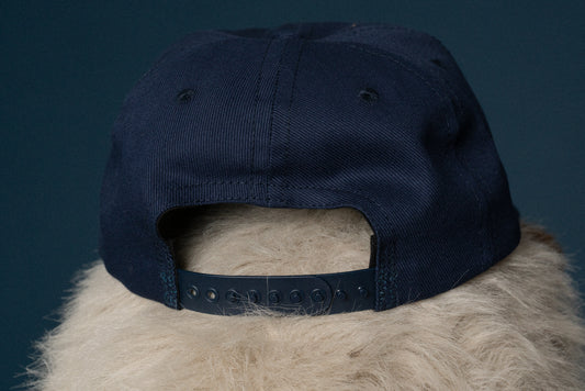 Force Field Snap Back