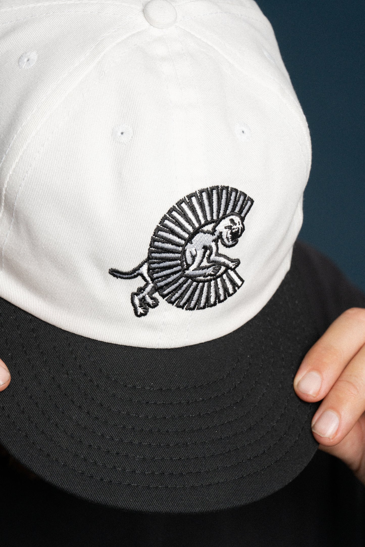 Combo Logo Packable Cap