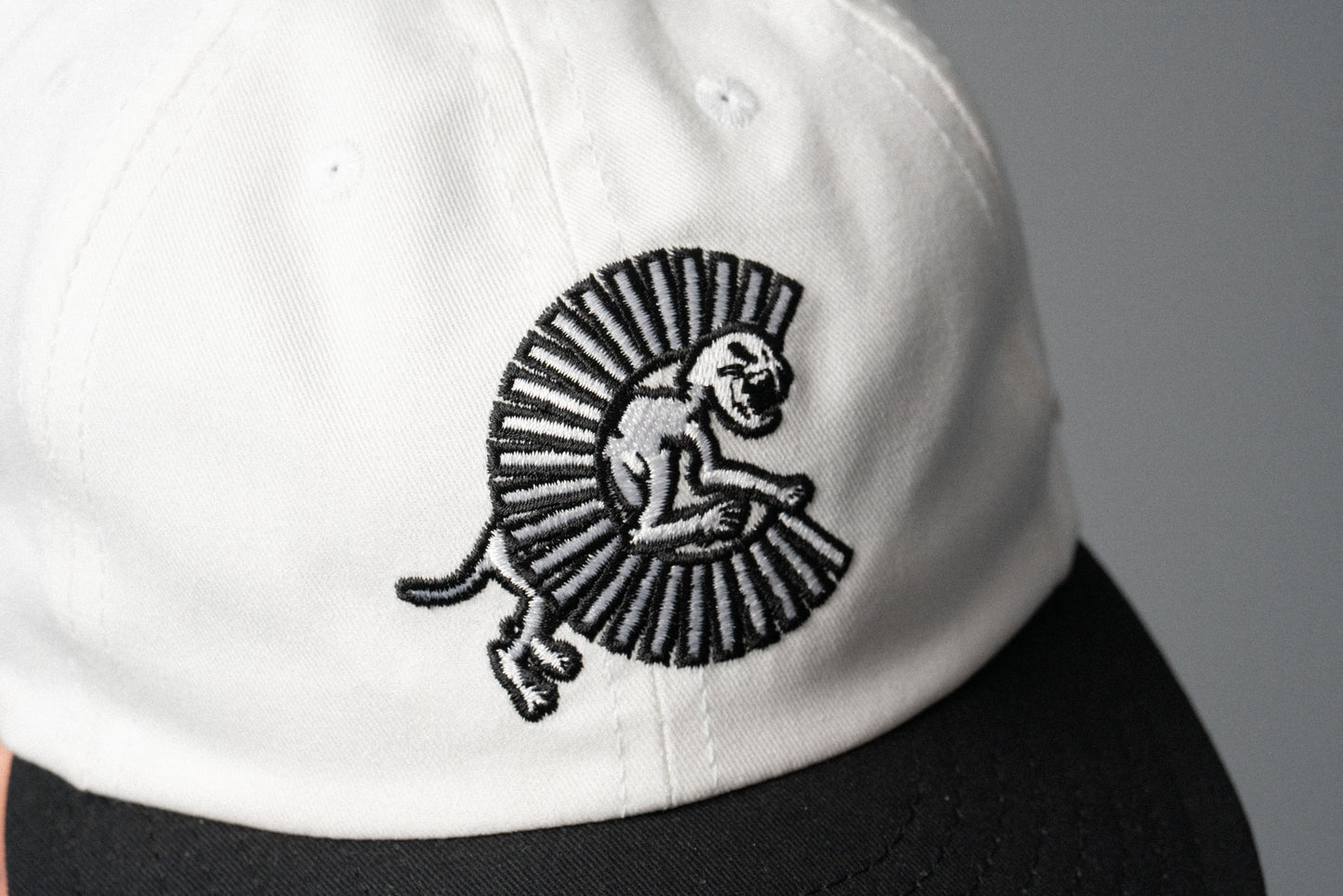Combo Logo Packable Cap