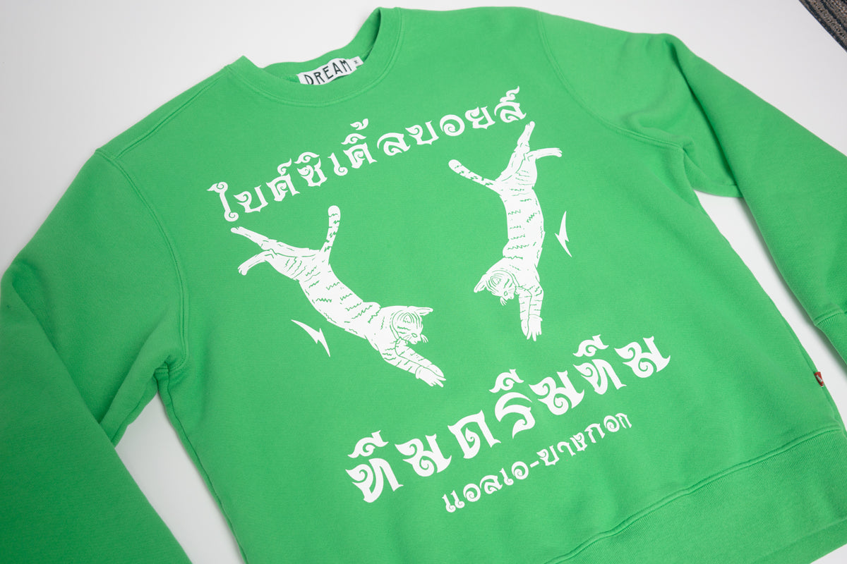 TEAM DREAM BICYCLING TEAM チームドリーム セット（Team Dream