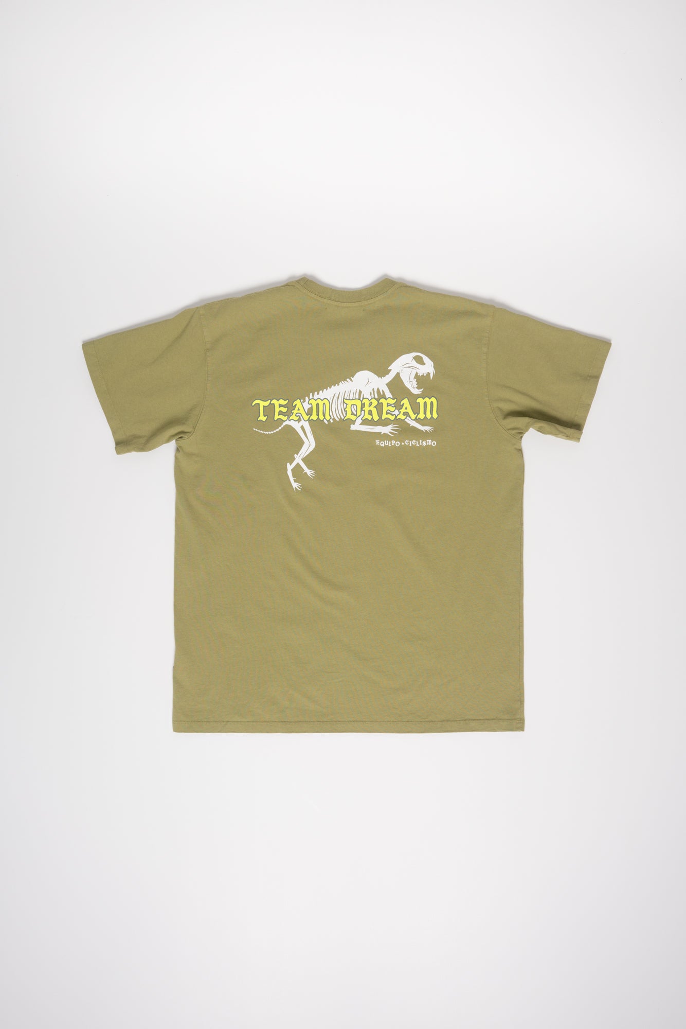 Classic Fit Boney Tee Light Green