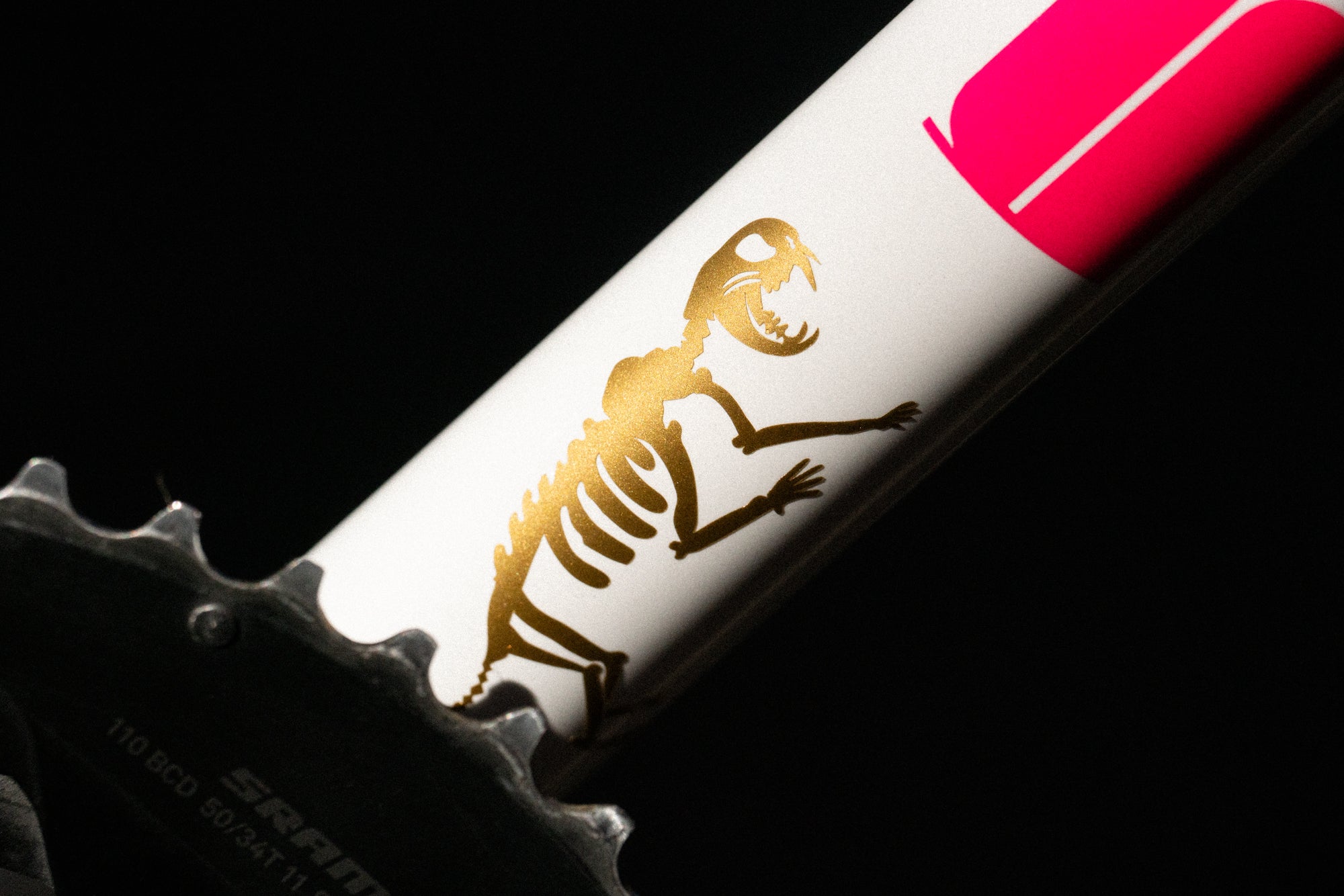 Accessories – Team Dream Bicycling Team