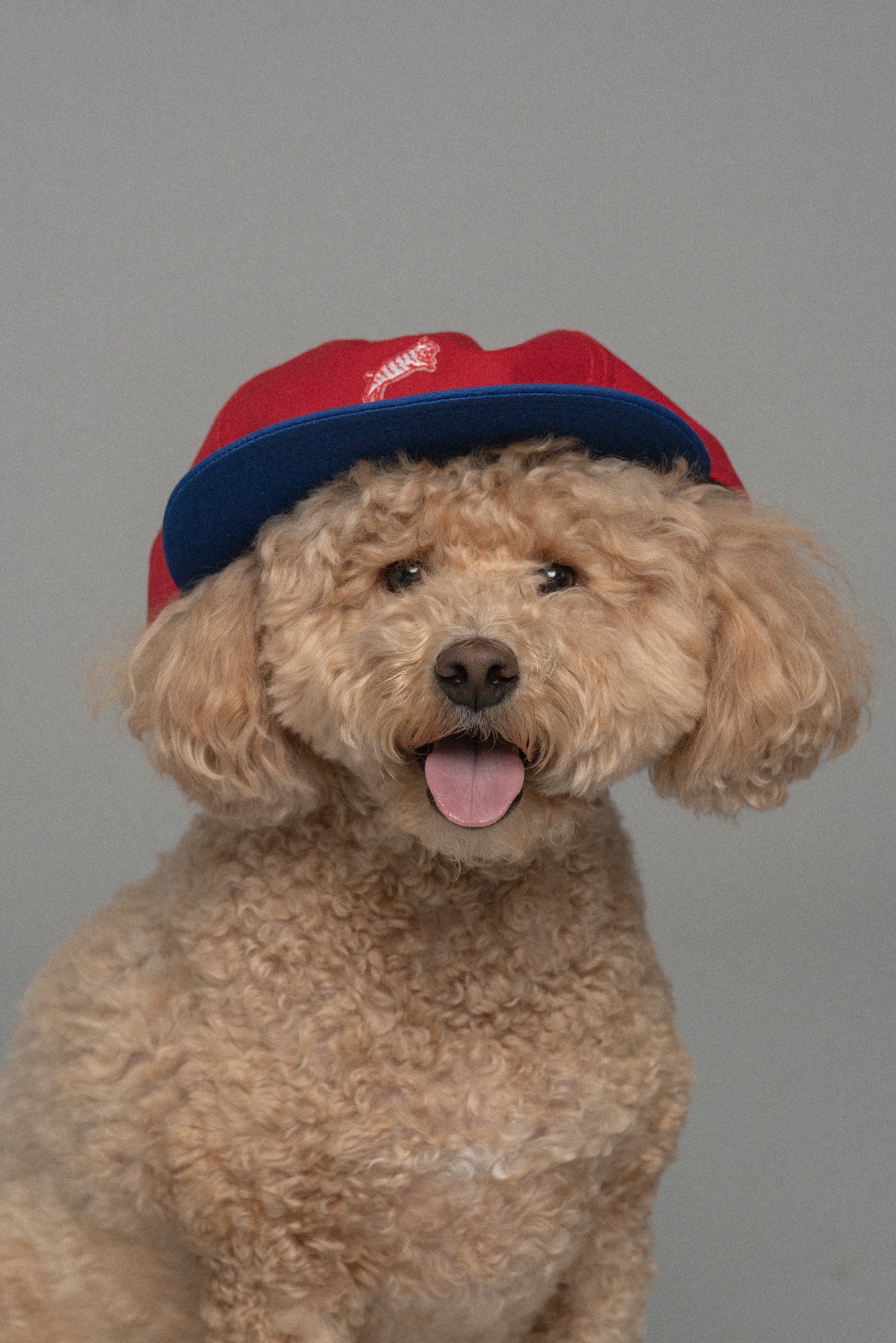 Packable Chubby Cap Red/Royal