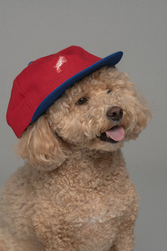 Packable Chubby Cap Red/Royal